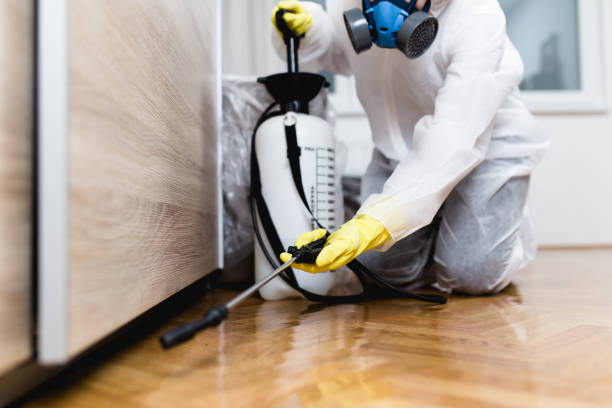 Best Mosquito Control Services  in Casey, IL