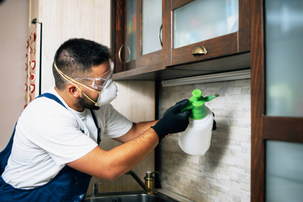 Best Affordable Pest Control Services  in Casey, IL