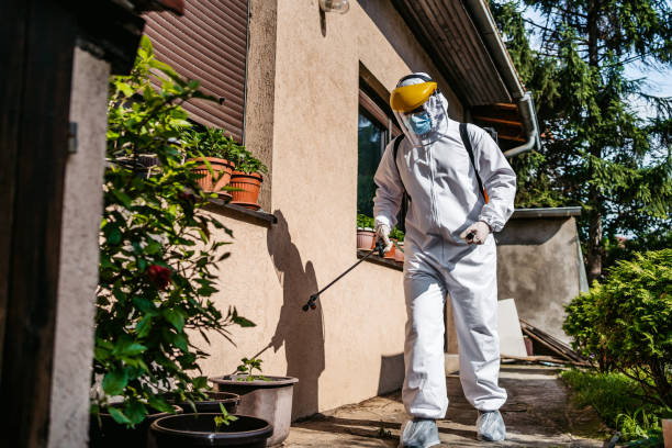 Best Exterminator Services  in Casey, IL