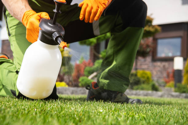 Best Commercial Pest Control Services  in Casey, IL