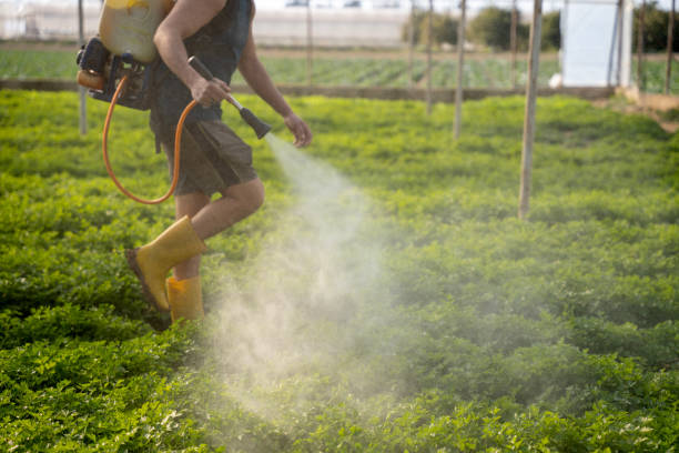 Best Best Pest Control Companies  in Casey, IL