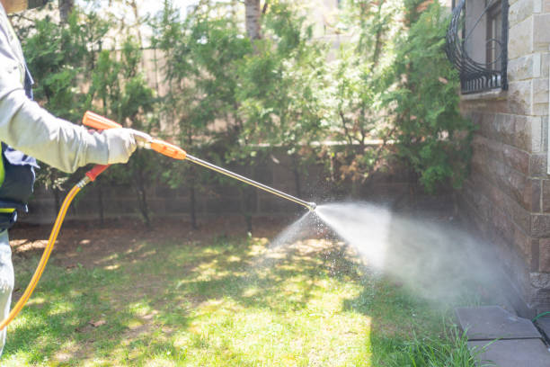 Best Insect Control  in Casey, IL