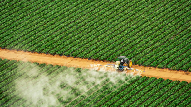 Best Mosquito Control Services  in Casey, IL