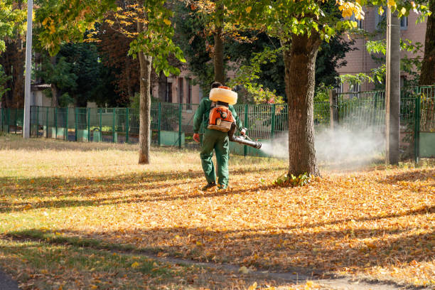 Best Pest Inspection Near Me  in Casey, IL